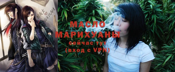 крисы Богородицк