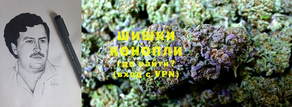 гашик Михайлов
