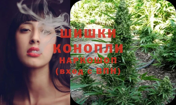 гашик Михайлов