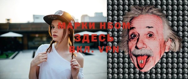 гашик Михайлов