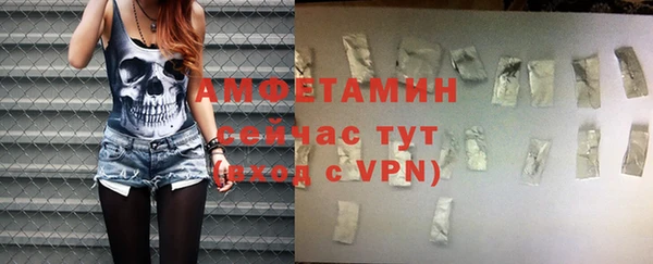 гашик Михайлов