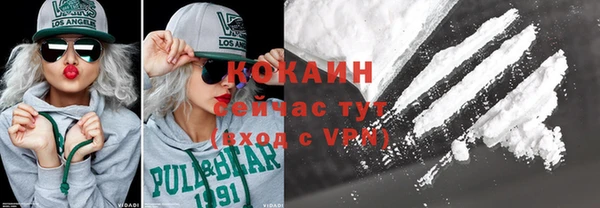 гашик Михайлов