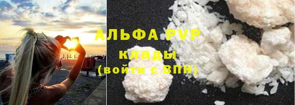 гашик Михайлов