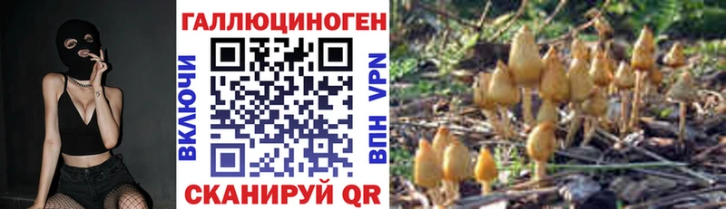 блэк спрут как зайти  Поворино  Галлюциногенные грибы мухоморы 